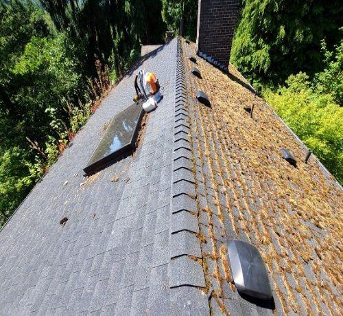 roof-cleaning-Dublin