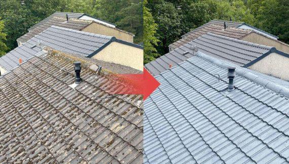 roof cleaning services Dublin