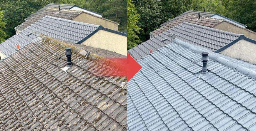 roof cleaning services Dublin