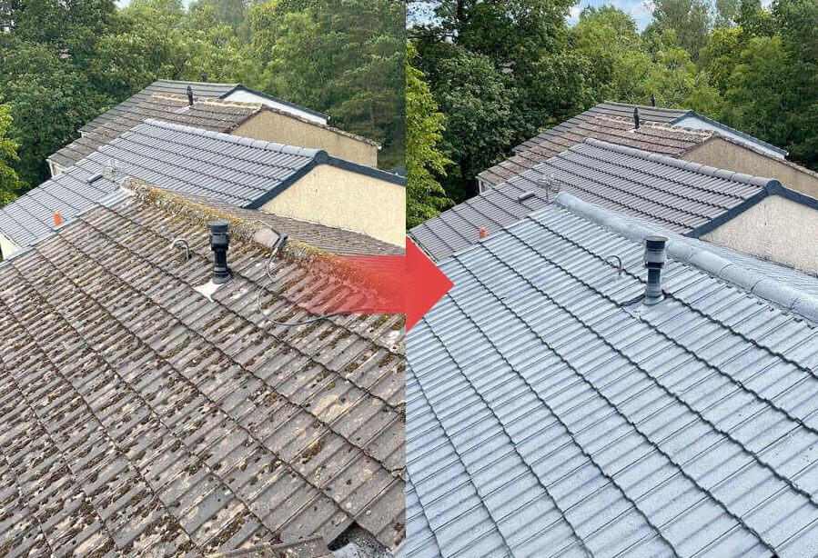 roof cleaning services Dublin