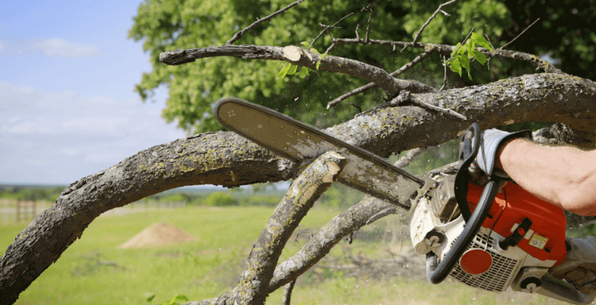 Tree CARE